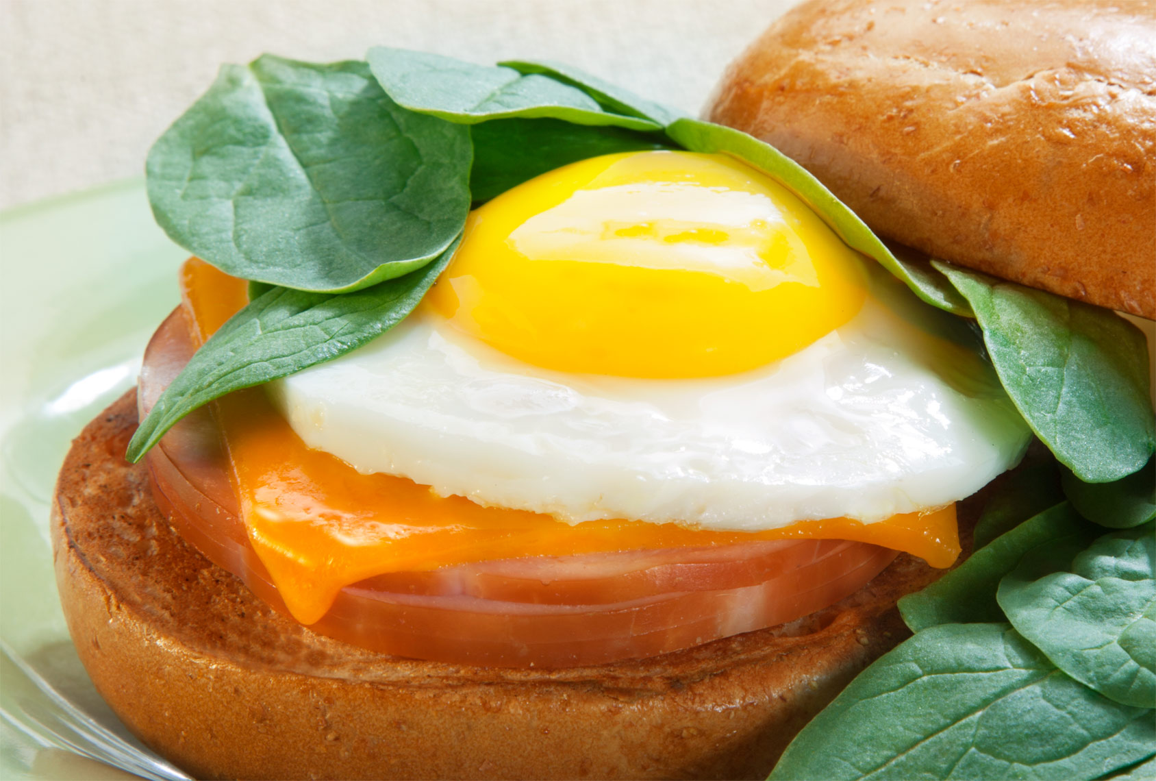 Egg breakfast sandwich
