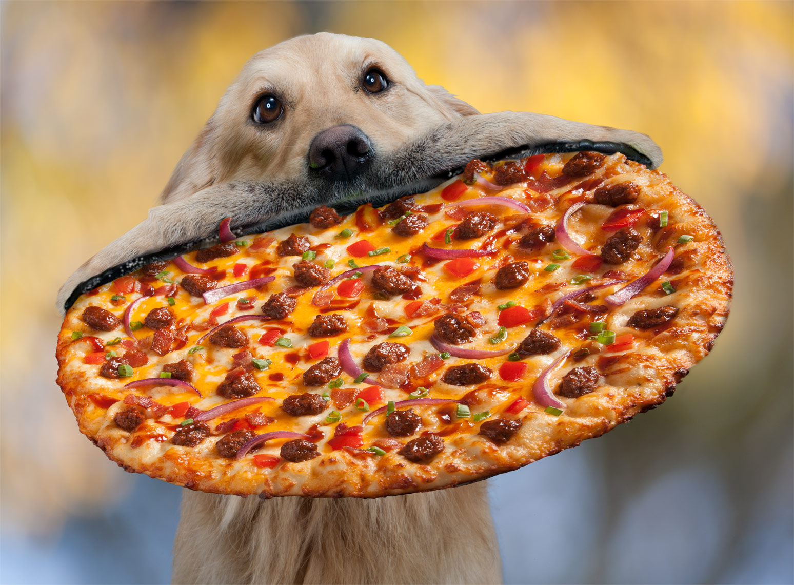 StolenPizza